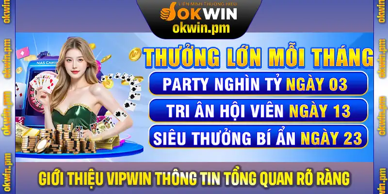 Giới thiệu VIPWin với thông tin tổng quan rõ ràng và dễ hiểu
