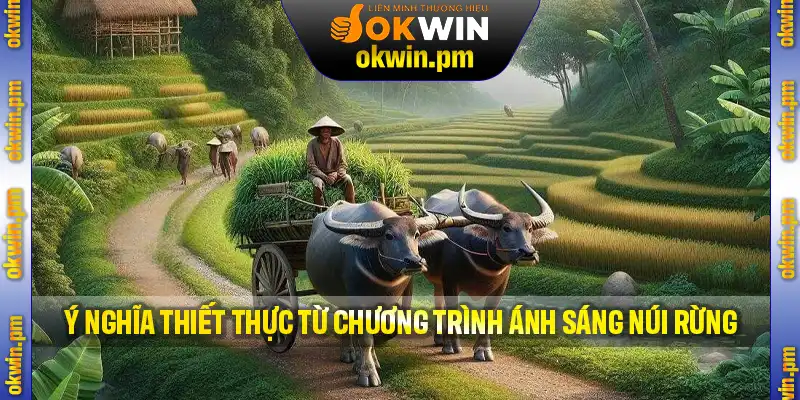 Ý nghĩa thiết thực từ chương trình Ánh Sáng Núi Rừng