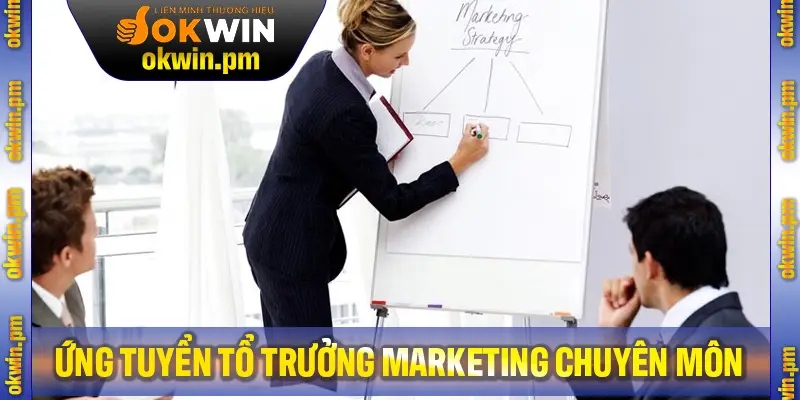 Ứng tuyển tổ trưởng Marketing cần sự kết hợp giữa chuyên môn và khả năng lãnh đạo