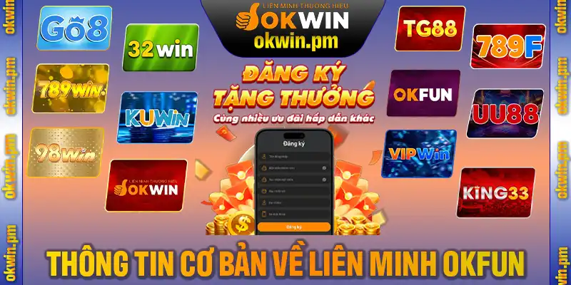 Điểm qua những thông tin cơ bản về liên minh OKWIN